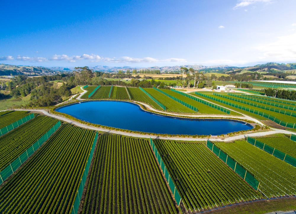 Irrigation